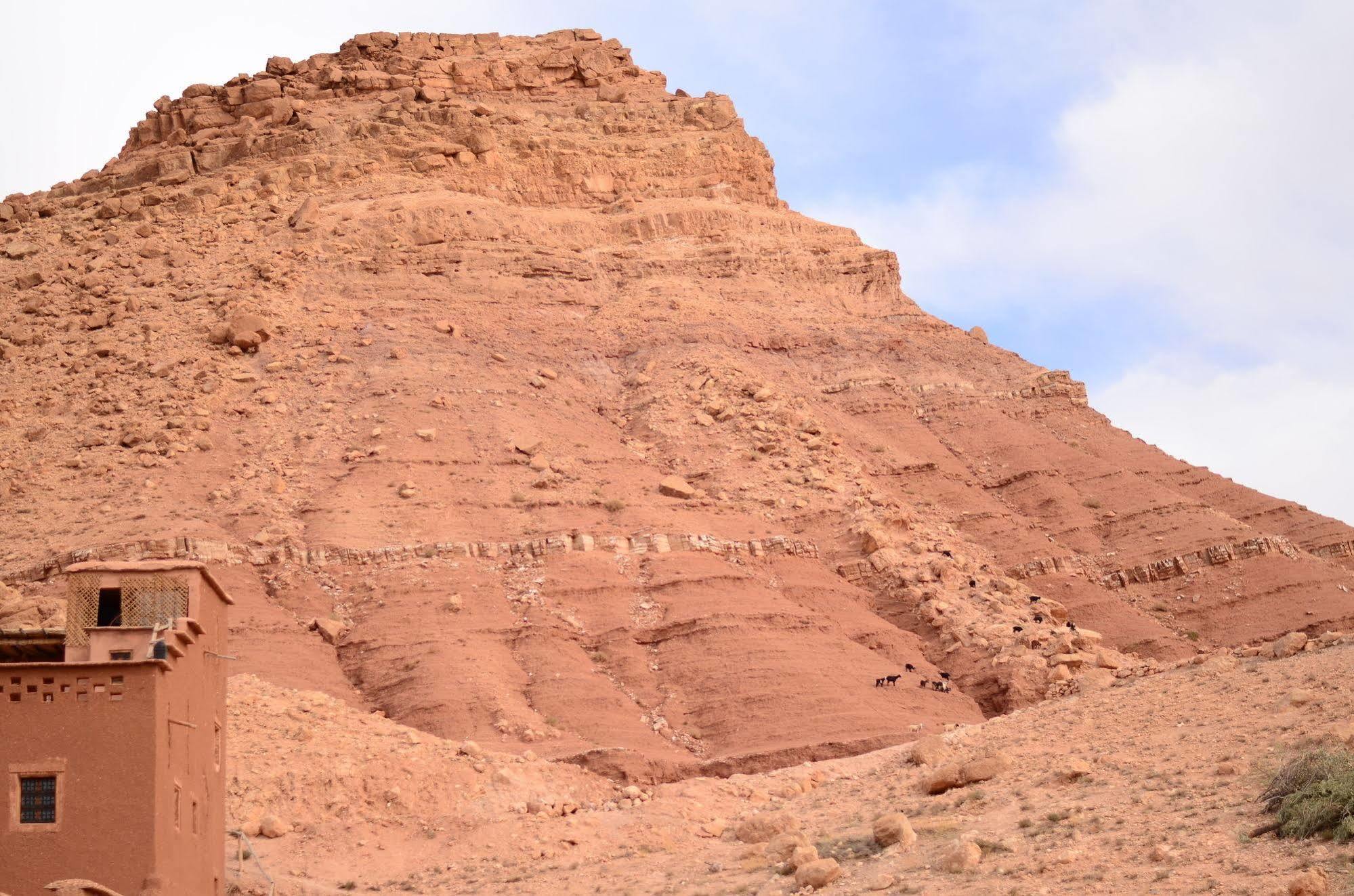 Kasbah Du Peintre Bed & Breakfast Aït Benhaddou Dış mekan fotoğraf